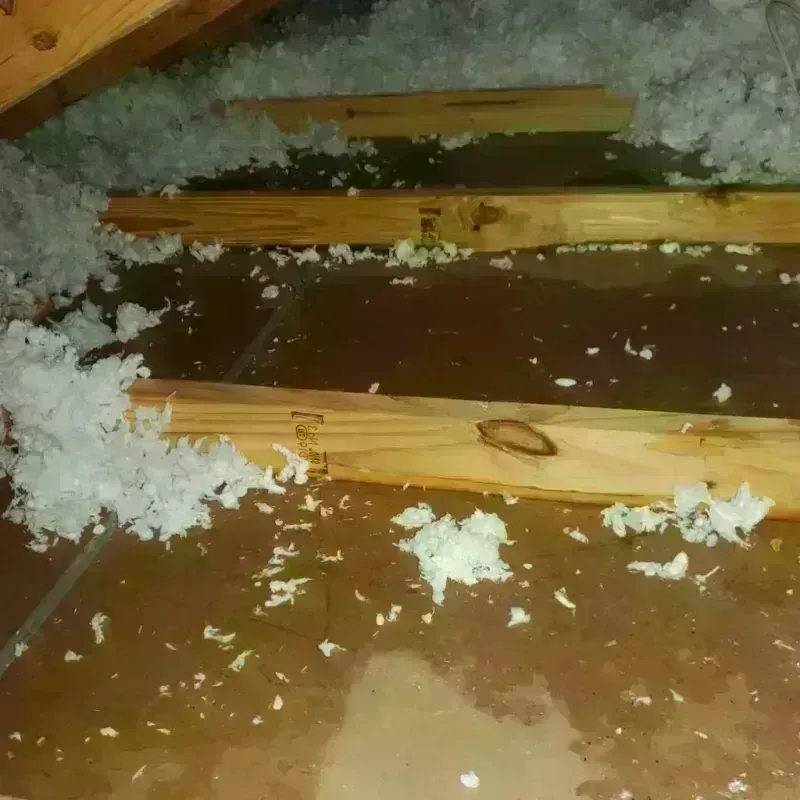 Attic Water Damage in Madison, VA