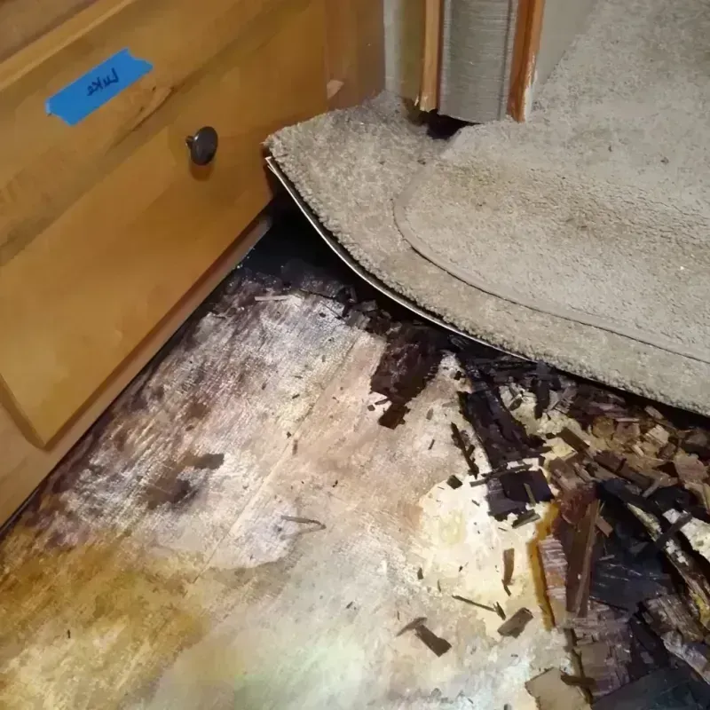 Wood Floor Water Damage in Madison, VA